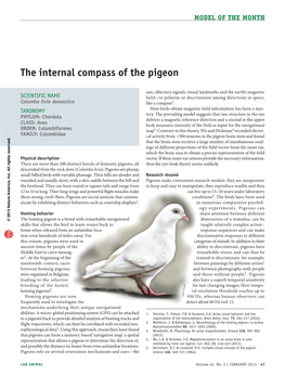 The Internal Compass of the Pigeon