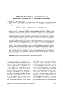 The Reproductive Biology of Lutraria Philippinarum (Veneroida: Mactridae) and Its Fishery in the Philippines