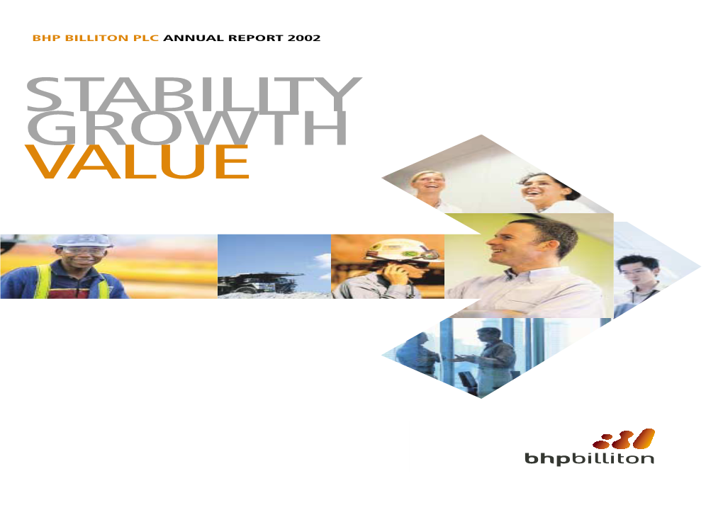 Bhp Billiton Plc Annual Report 2002 Bhp Billiton Plc