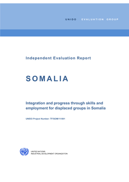 Somalia MIPS Evaluation Final 2013 02 19