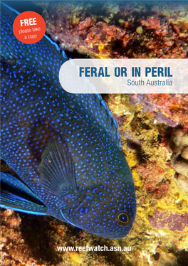 Feral Or in Peril South Australia