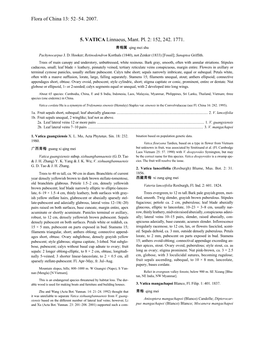 Flora of China 13: 52–54. 2007. 5. VATICA Linnaeus, Mant. Pl. 2: 152