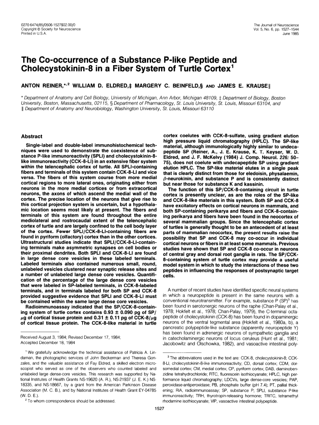 The Co-Occurrence of a Substance P-Like Peptide and Cholecystokinin-8 in a Fiber System of Turtle Cortex’