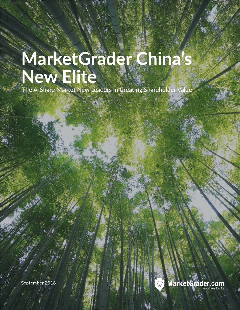 Marketgrader China's New Elite