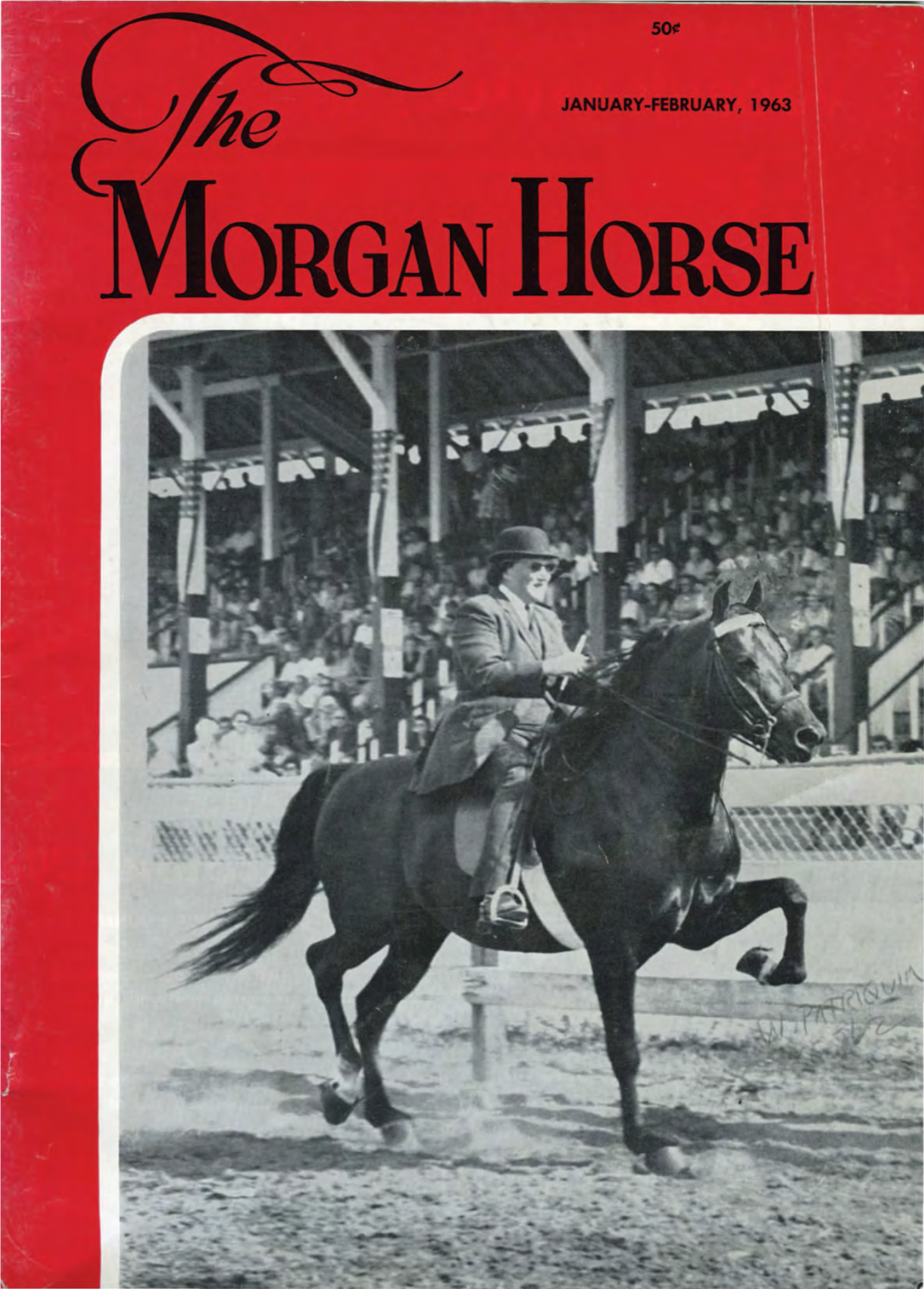 Morgan Horse Ancestry