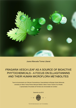Fragaria Vesca Leaf As a Source of Bioactive Phytochemicals - a Focus on Ellagitannins