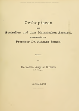 Orthopteren Aus Australien Und Dem Malayischen Archipel, Gesammelt Von Professor Dr