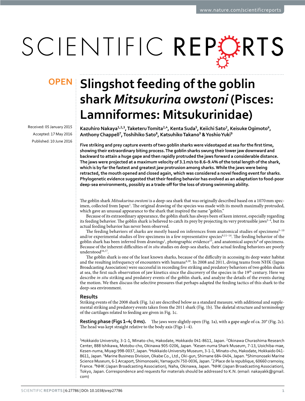 Slingshot Feeding of the Goblin Shark Mitsukurina Owstoni