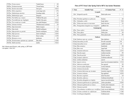 Pdf Clickbook Booklet (2 Double-Sided Pages)