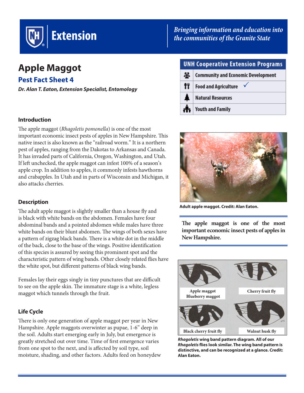 Apple Maggot Pest Fact Sheet 4 Dr