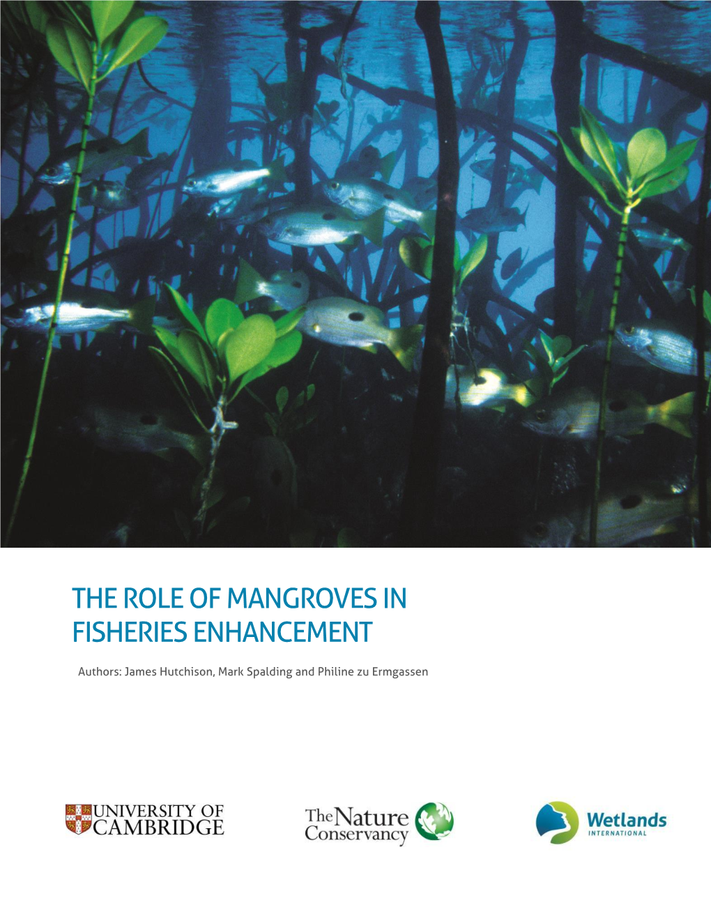 The Role of Mangroves in Fisheries Enhancement