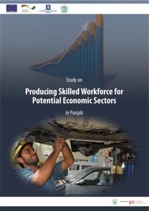 Study of Potential Economic Sectors-Punjab