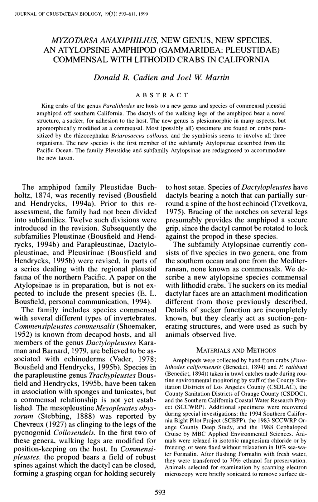 Myzotarsa Anaxiphilius, New Genus, New Species, an Atylopsine Amphipod (Gammaridea: Pleustidae) Commensal with Lithodid Crabs in California