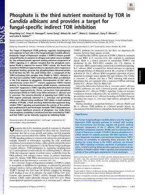 Phosphate Is the Third Nutrient Monitored by TOR in Candida Albicans and Provides a Target for Fungal-Specific Indirect TOR Inhibition