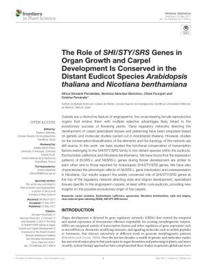 The Role of SHI/STY/SRS Genes in Organ Growth and Carpel Development Is Conserved in the Distant Eudicot Species Arabidopsis Thaliana and Nicotiana Benthamiana