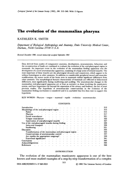 The Evolution of the Mammalian Pharynx