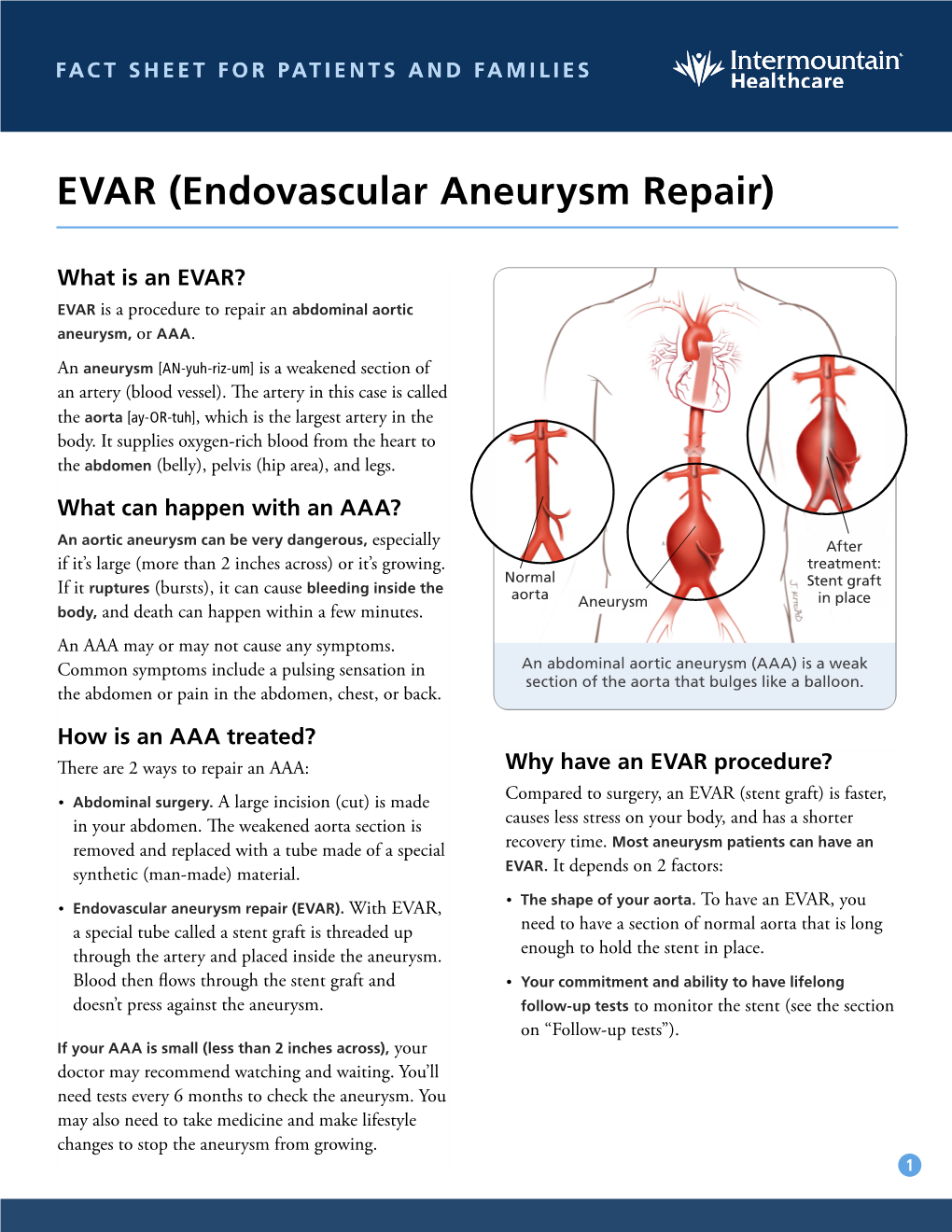 EVAR Endovascular Aneurysm Repair Fact Sheet - DocsLib