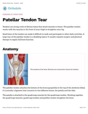 Patellar Tendon Tear - Orthoinfo - AAOS 6/14/19, 11:18 AM