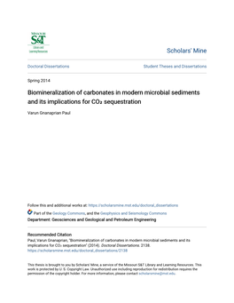 Biomineralization of Carbonates in Modern Microbial Sediments and Its Implications for CO₂ Sequestration