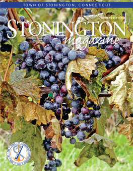 Stoningtonmagazine