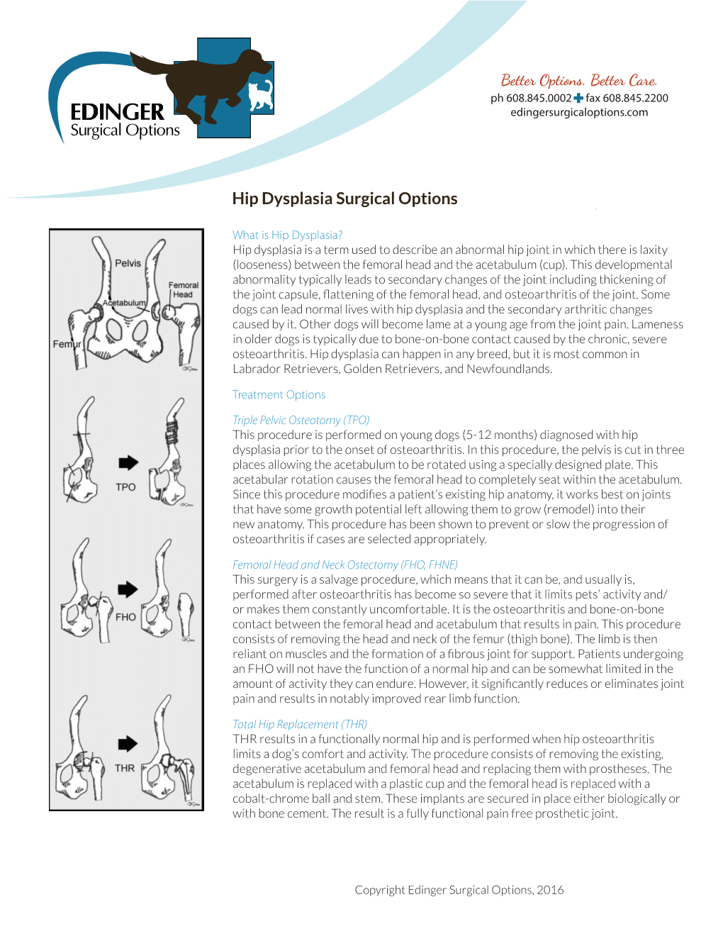 Hip Dysplasia Surgical Options