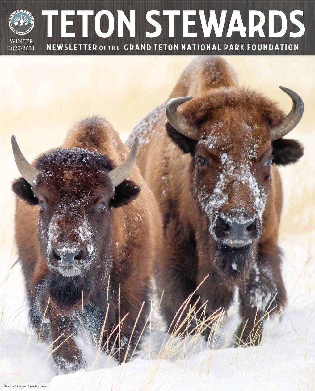 Newsletter of the Grand Teton National Park