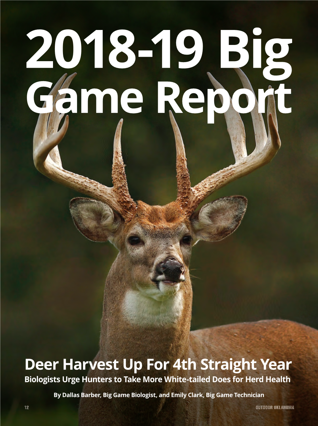 2018-19 Big Game Report