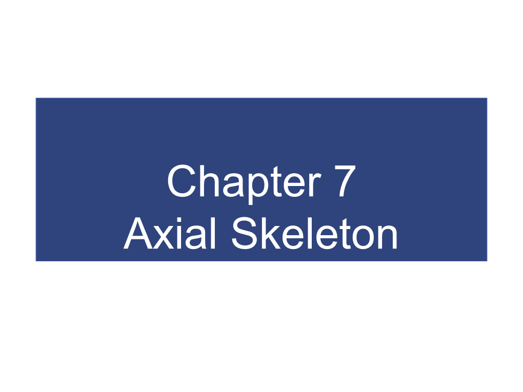 Chapter 7 Axial Skeleton the Skeletal System