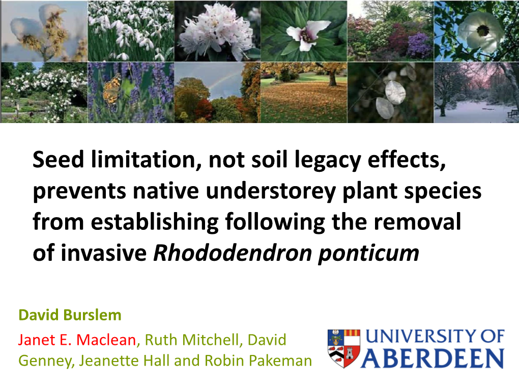 Seed Limitation, Not Soil Legacy Effects, Prevents Native Understorey Plant Species from Establishing Following the Removal of Invasive Rhododendron Ponticum