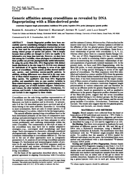 Generic Affinities Among Crocodilians As Revealed by DNA Fingerprinting