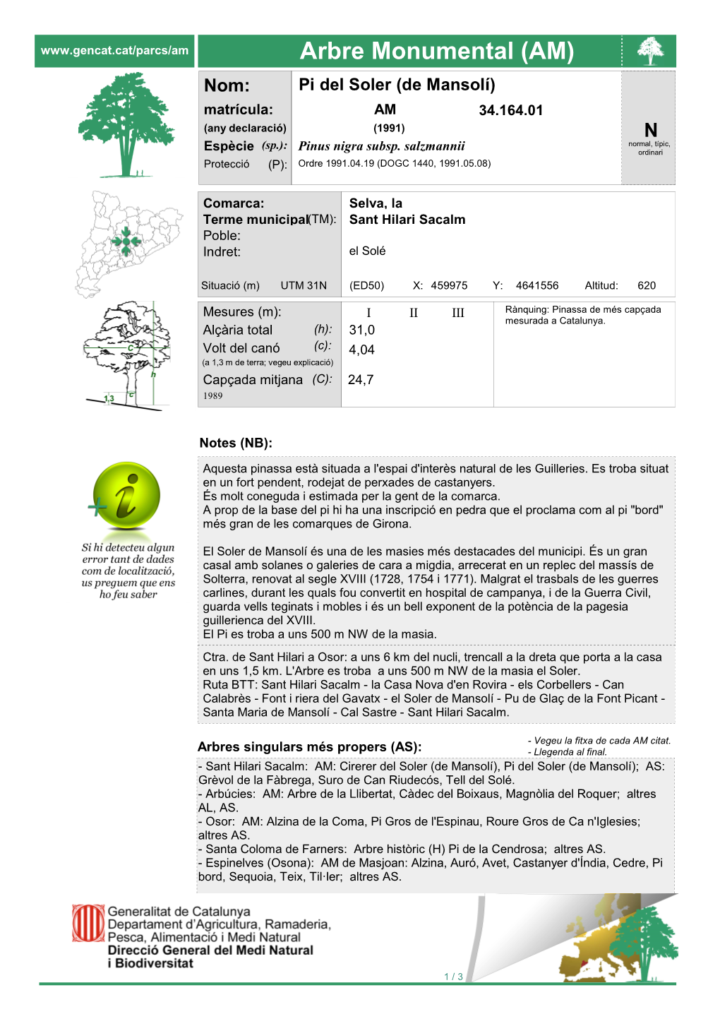 Arbre Monumental (AM) Nom: Pi Del Soler (De Mansolí) Matrícula: AM 34.164.01 (Any Declaració) (1991) N (Sp.): Normal, Típic, Espècie Pinus Nigra Subsp