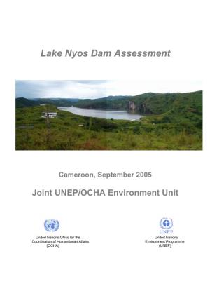 Lake Nyos Dam Assessment