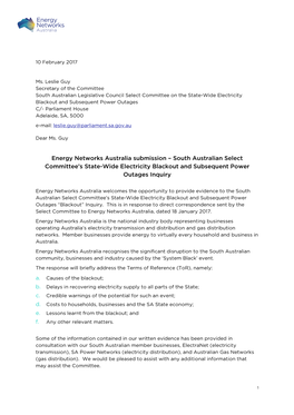 South Australian Select Committee's State-Wide Electricity Blackout And