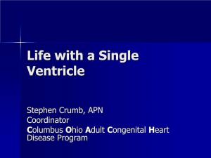 What Is Single Ventricle?