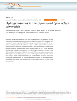 Hydrogenosomes in the Diplomonad Spironucleus Salmonicida