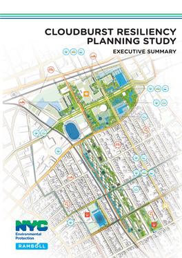 CLOUDBURST RESILIENCY PLANNING STUDY EXECUTIVE SUMMARY Published by New York City Department of Environmental Protection January, 2017