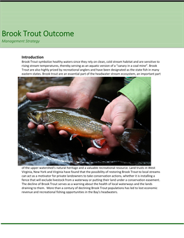 Brook Trout Outcome Management Strategy