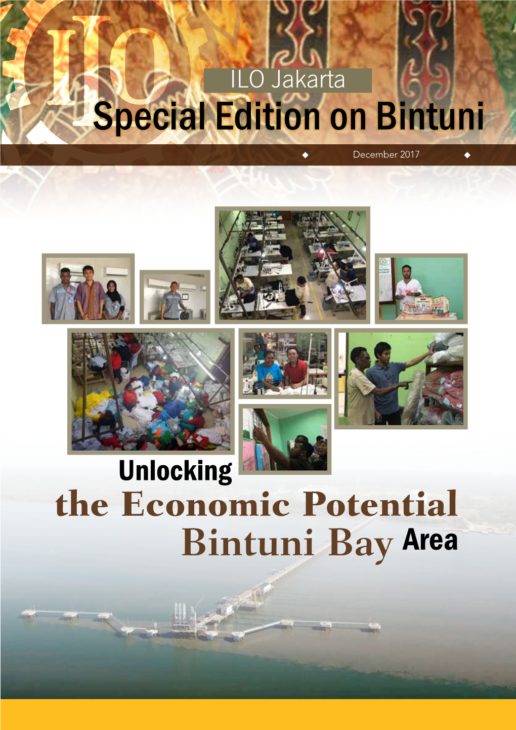 Unlocking the Potentials of Bintuni Bay Area, West Papua