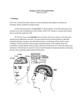 Meninges and Cerebrospinal Fluid Brad Cole, MD