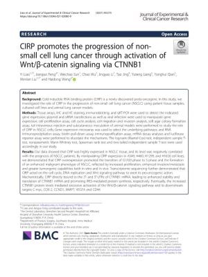CIRP Promotes the Progression of Non-Small Cell Lung Cancer Through