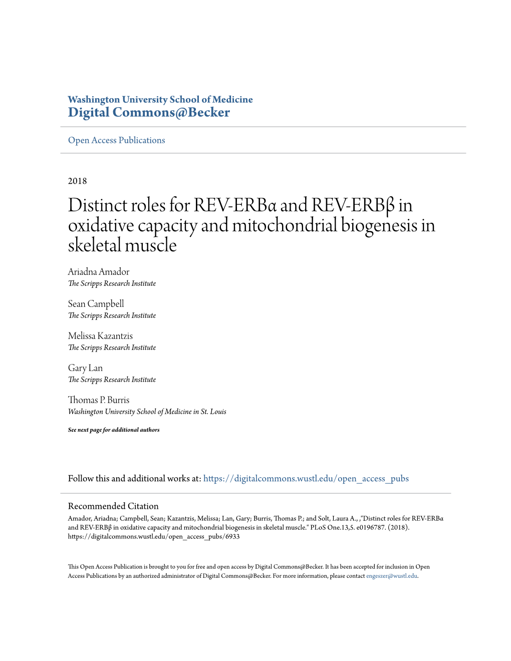 Distinct Roles for REV-Erbα and REV-Erbβ in Oxidative Capacity and Mitochondrial Biogenesis in Skeletal Muscle Ariadna Amador the Scripps Research Institute