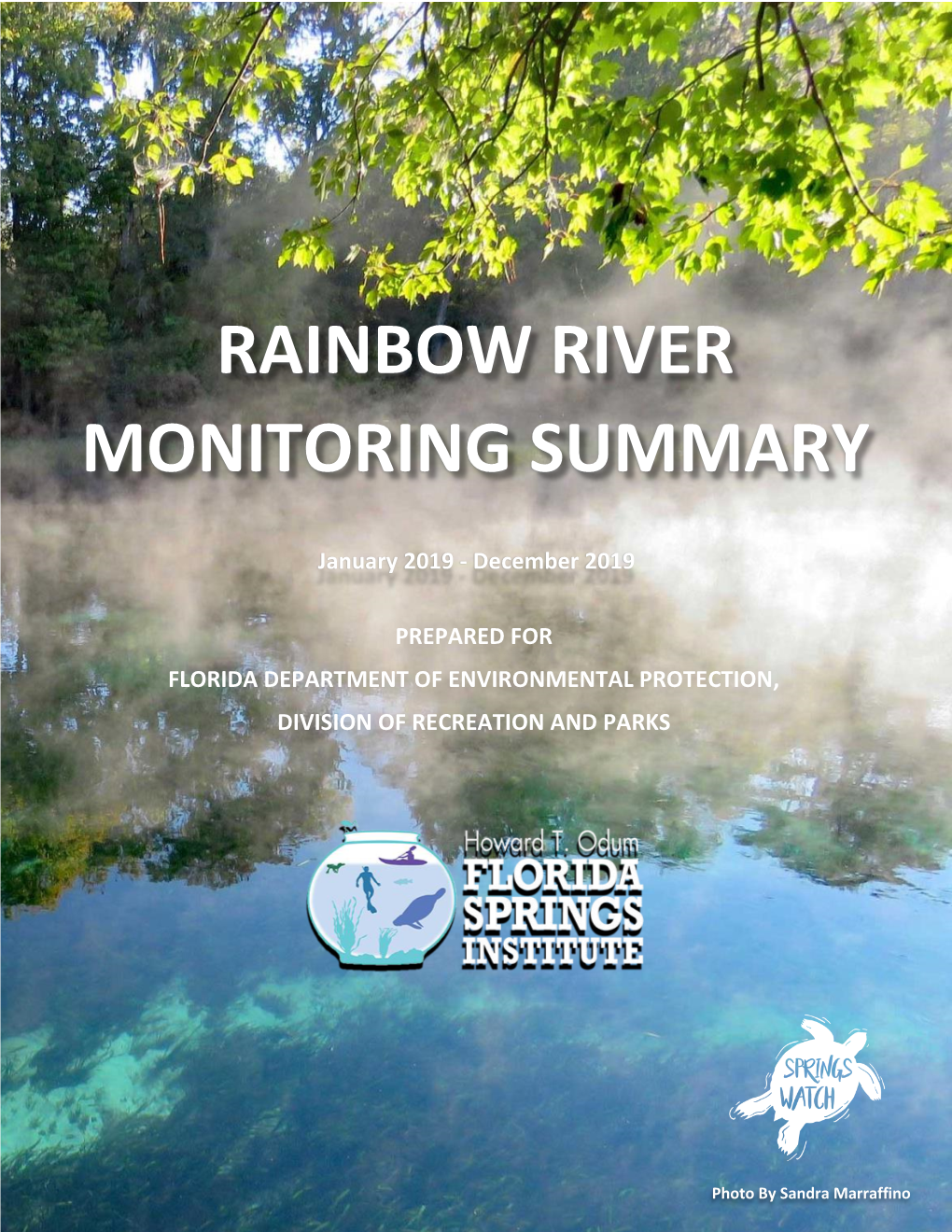 Rainbow River Monitoring Report 2019