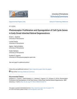 Photoreceptor Proliferation and Dysregulation of Cell Cycle Genes in Early Onset Inherited Retinal Degenerations