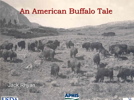 Jack Rhyan: an American Buffalo Tale