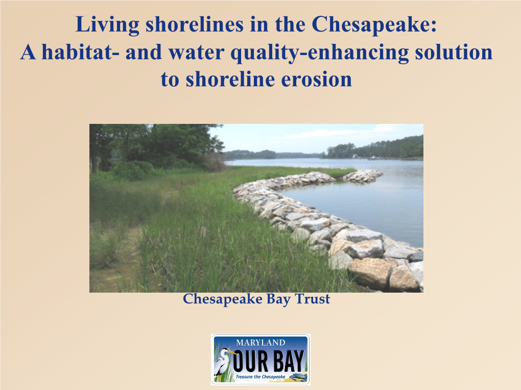 Living Shorelines in the Chesapeake: a Habitat- and Water Quality-Enhancing Solution to Shoreline Erosion