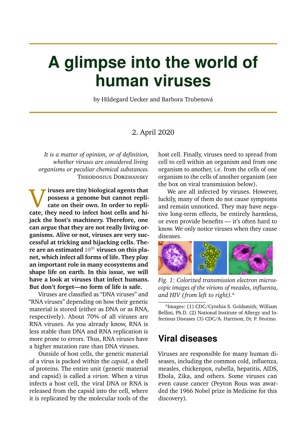 A Glimpse Into the World of Human Viruses