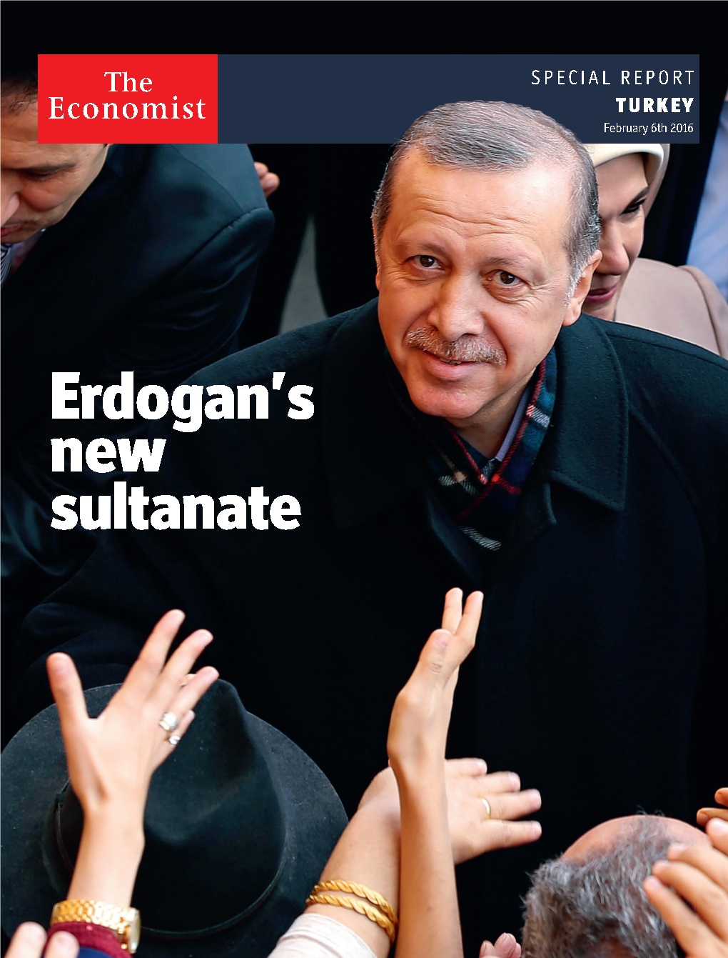 Erdogan's New Sultanate