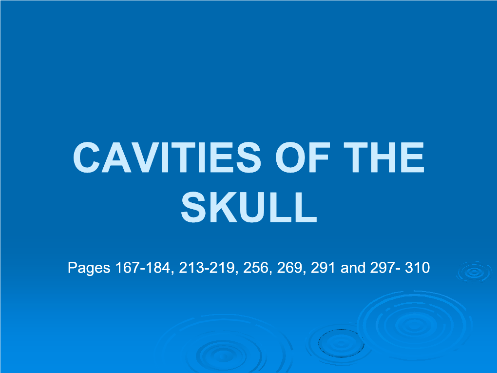 Skeleton of the Spine and the Thorax