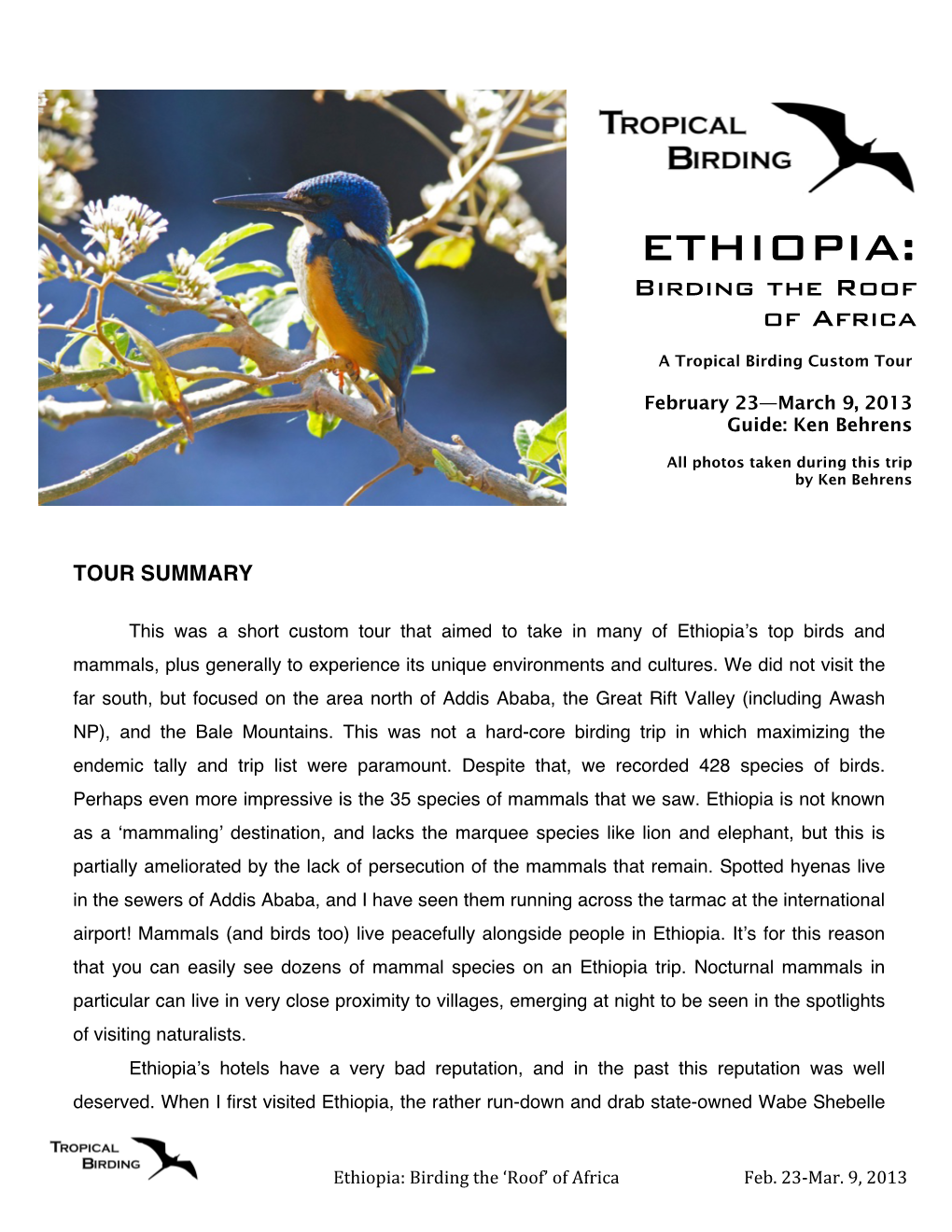 ETHIOPIA: Birding the Roof of Africa