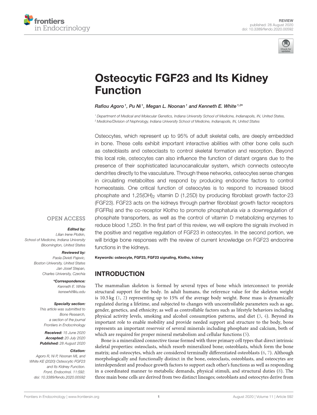 Osteocytic FGF23 and Its Kidney Function